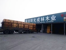 1774257674160221.jpg thumb_20260323172112_684.jpg